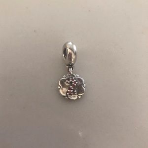Pandora charm